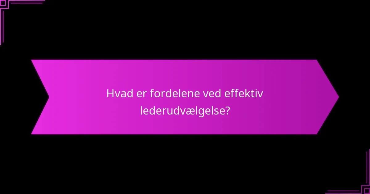Hvilke rammer understøtter optimal lederudvælgelse?