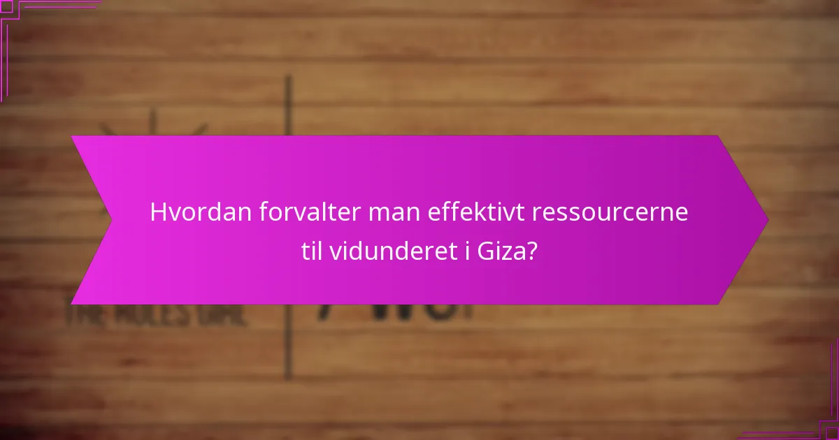 Hvordan forvalter man effektivt ressourcerne til vidunderet i Giza?
